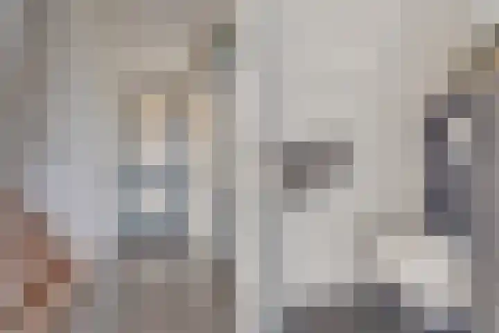 Biesterlaan 107 Schalkwijk thumbnail 4