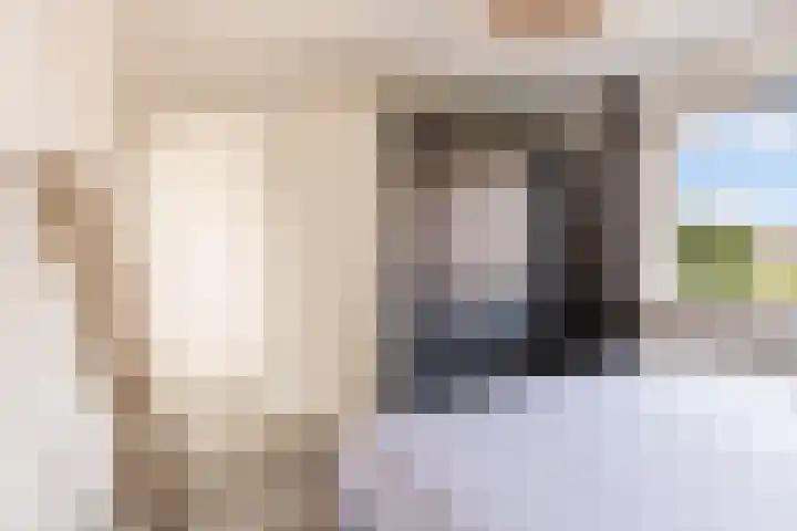 Biesterlaan 132 Schalkwijk thumbnail 12