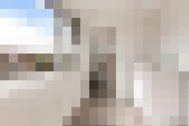 Biesterlaan 132 Schalkwijk thumbnail 15
