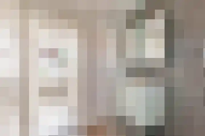 Biesterlaan 132 Schalkwijk thumbnail 17