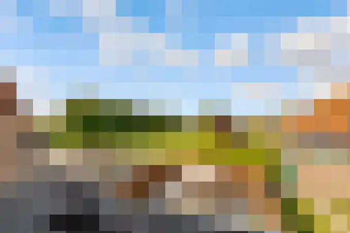 Biesterlaan 132 Schalkwijk thumbnail 18