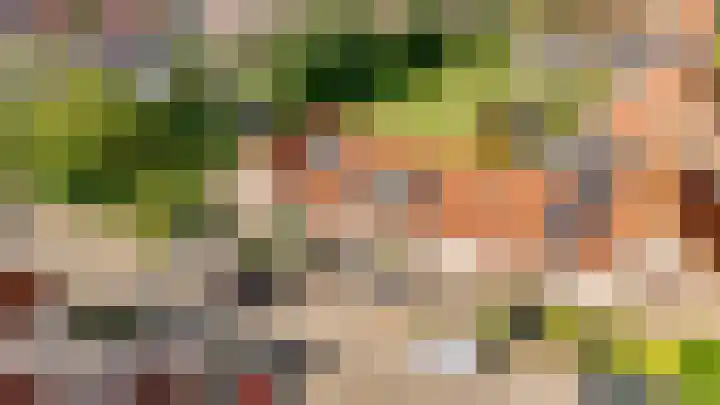 Biesterlaan 132 Schalkwijk thumbnail 25