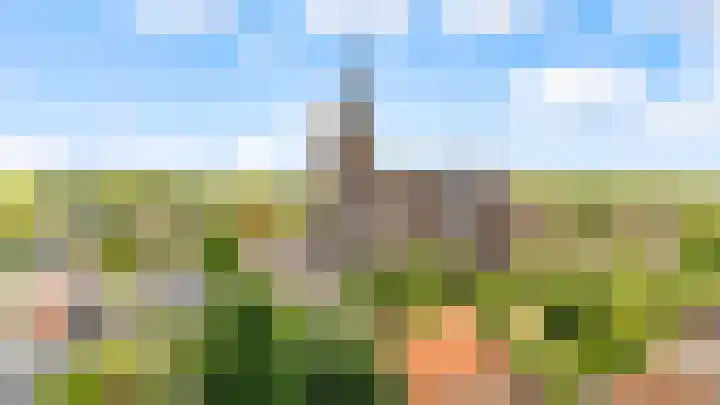 Biesterlaan 132 Schalkwijk thumbnail 29