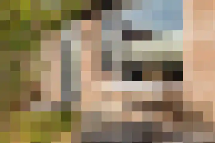 Biesterlaan 132 Schalkwijk thumbnail 4
