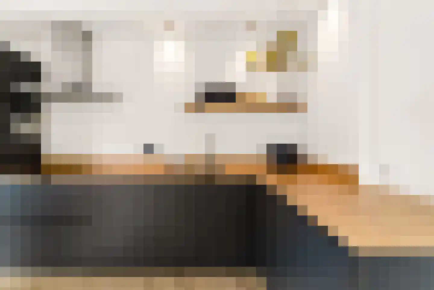 Biesterlaan 21 Schalkwijk thumbnail 10