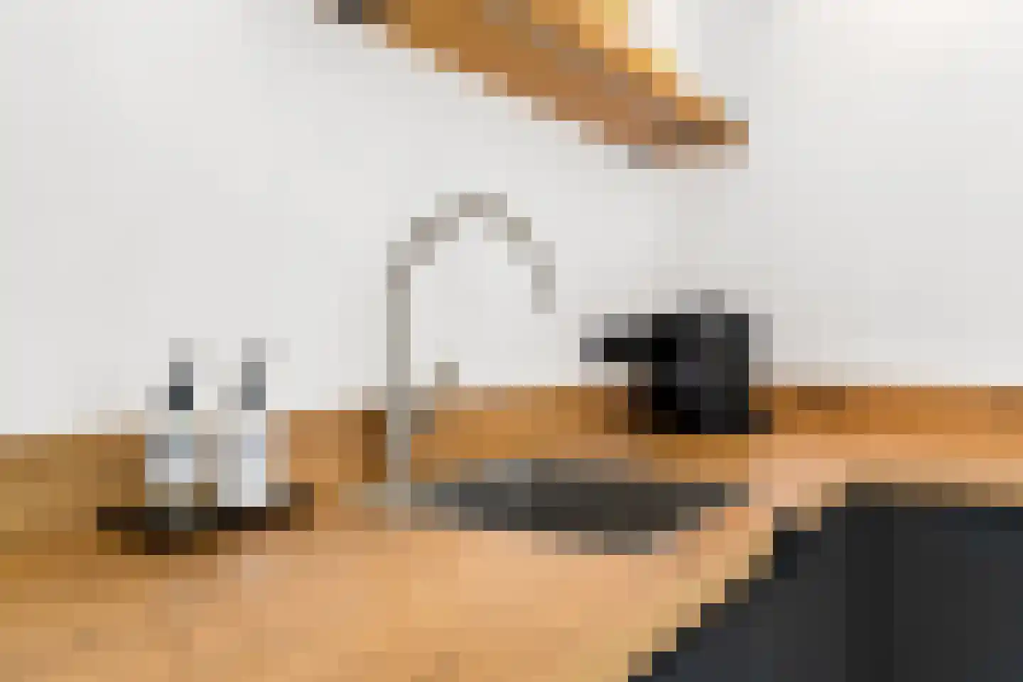 Biesterlaan 21 Schalkwijk thumbnail 12