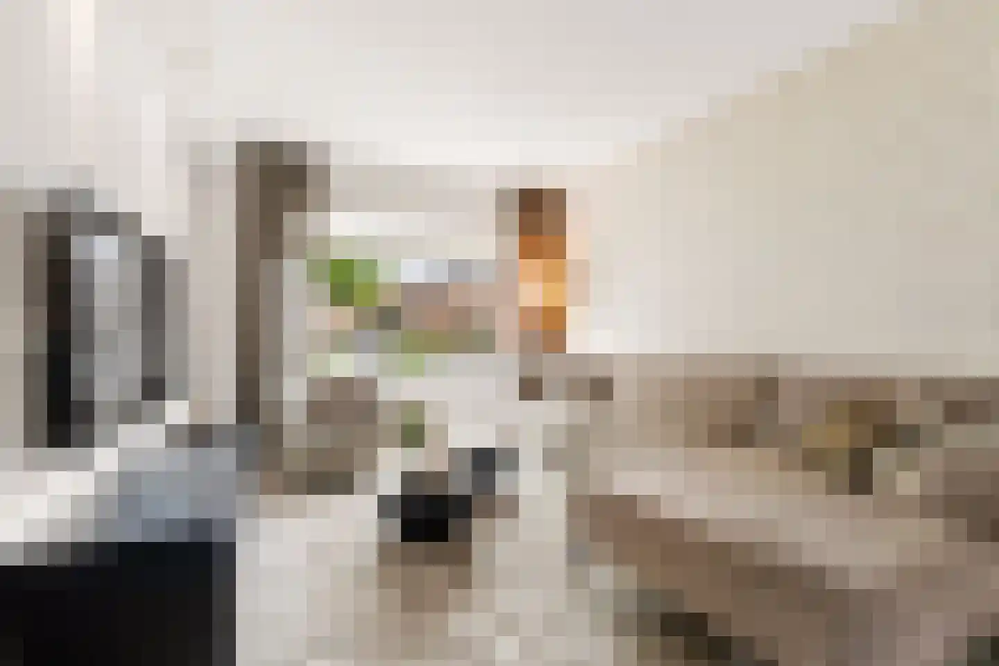 Biesterlaan 21 Schalkwijk thumbnail 13