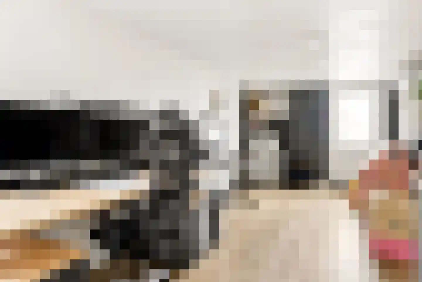 Biesterlaan 21 Schalkwijk thumbnail 15
