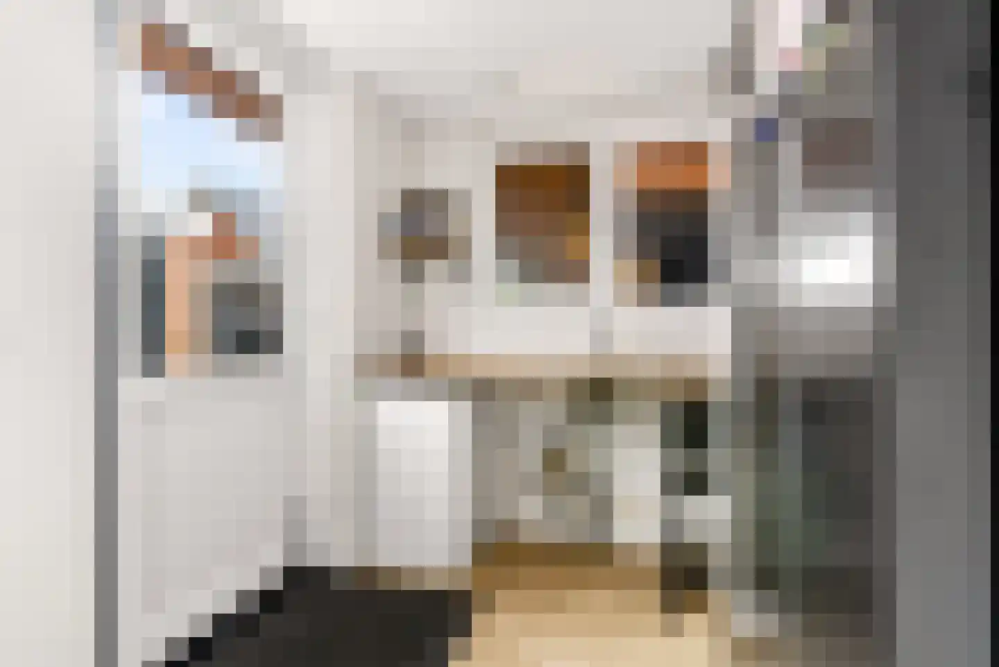Biesterlaan 21 Schalkwijk thumbnail 17