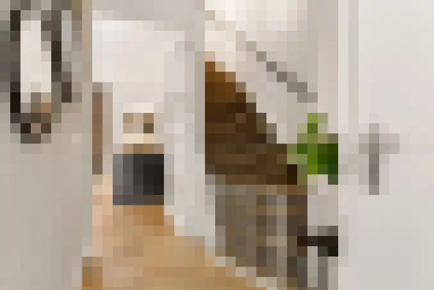 Biesterlaan 21 Schalkwijk thumbnail 19