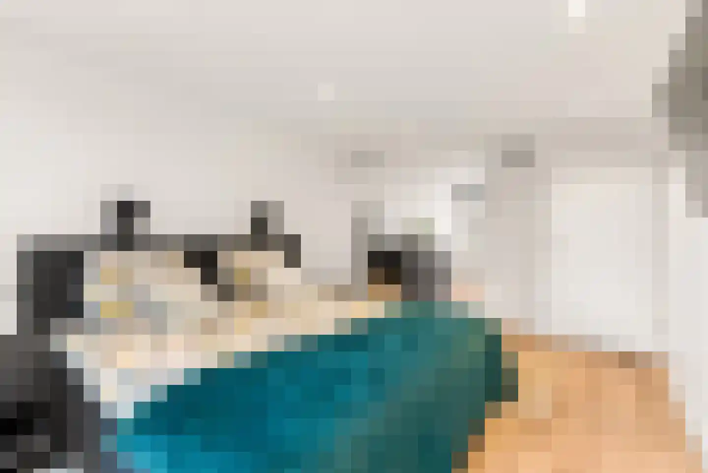 Biesterlaan 21 Schalkwijk thumbnail 23