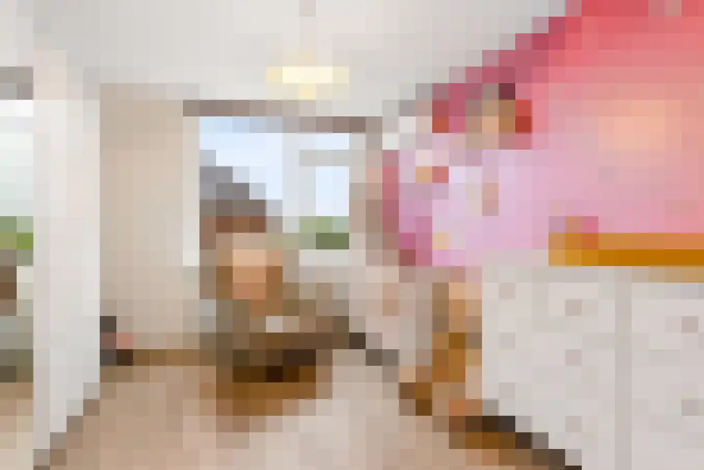 Biesterlaan 21 Schalkwijk thumbnail 24