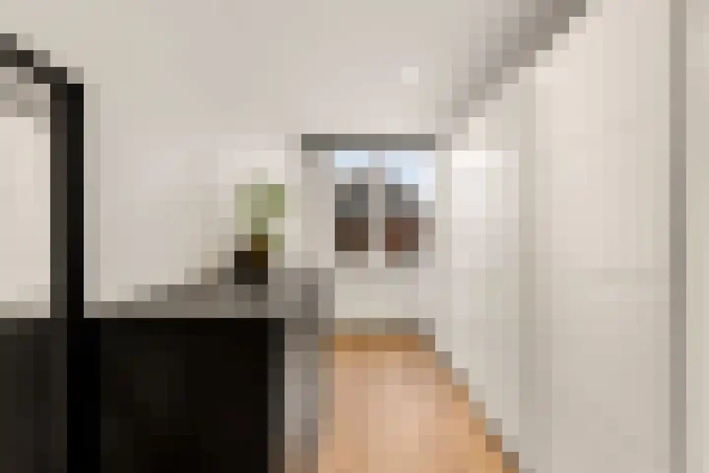Biesterlaan 21 Schalkwijk thumbnail 27
