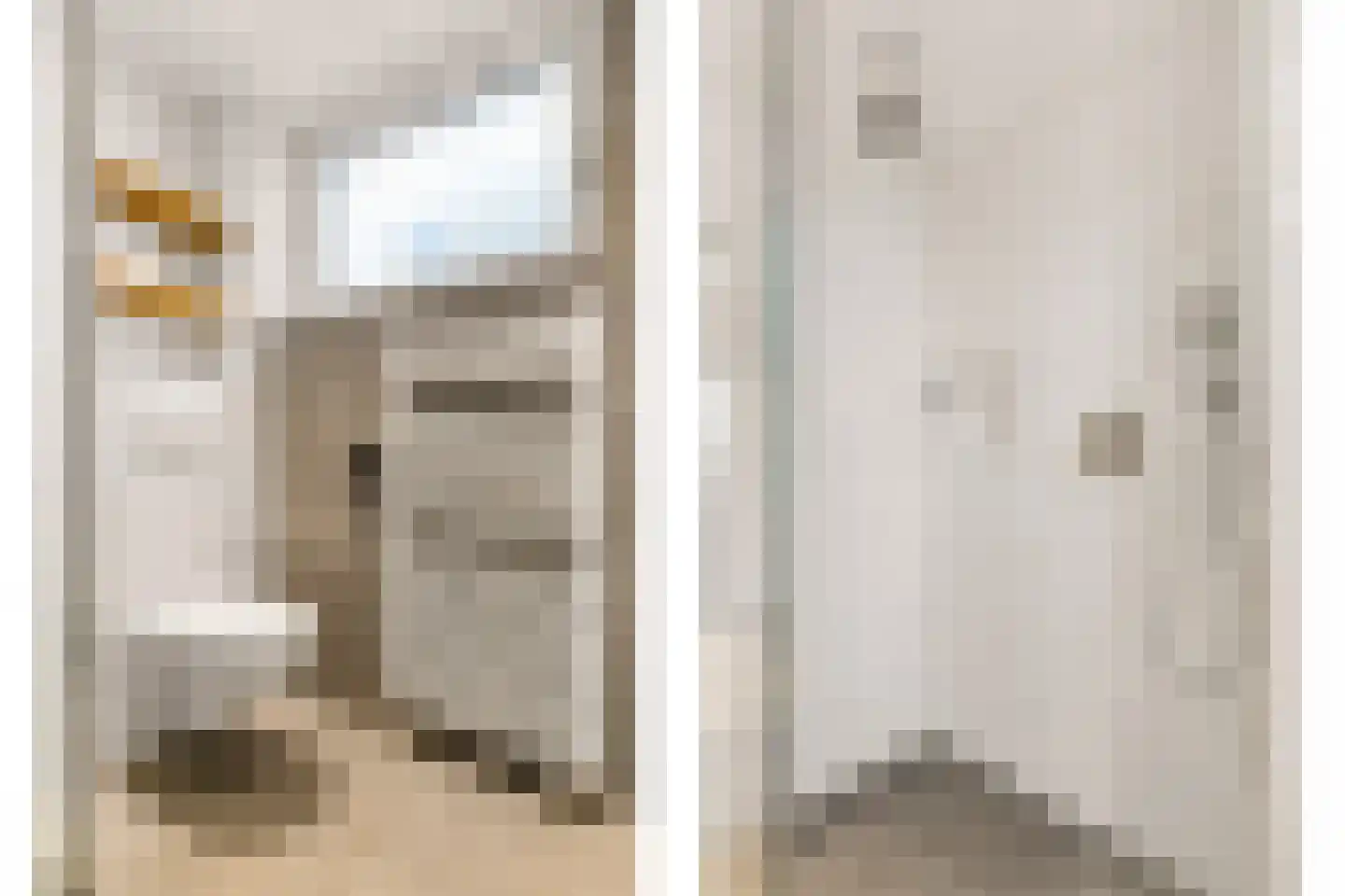 Biesterlaan 21 Schalkwijk thumbnail 31