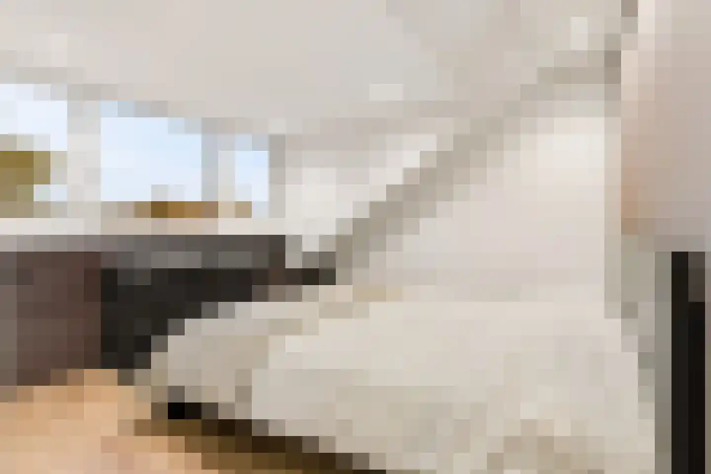 Biesterlaan 21 Schalkwijk thumbnail 34