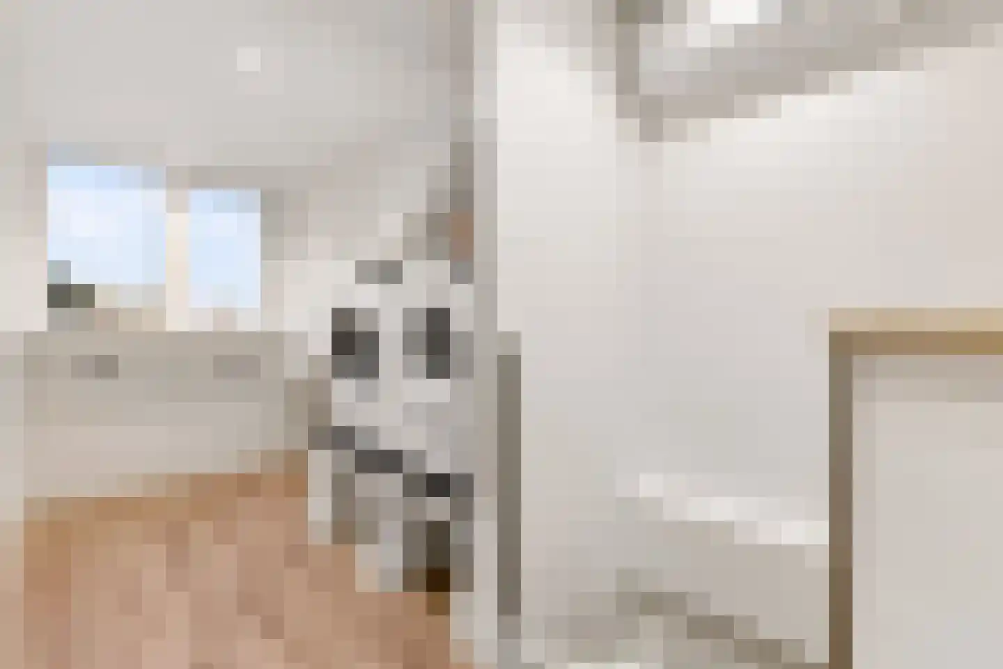Biesterlaan 21 Schalkwijk thumbnail 37