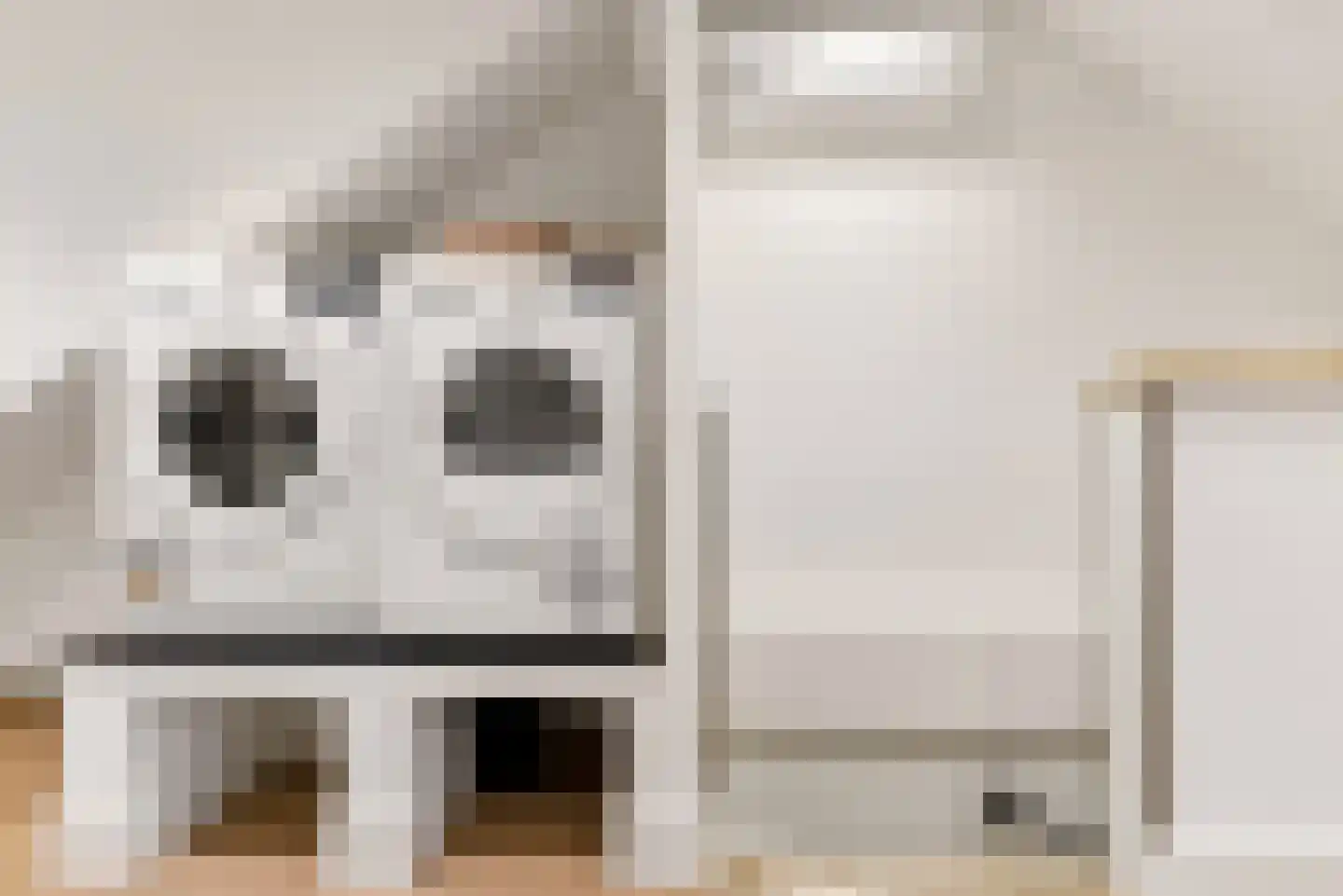 Biesterlaan 21 Schalkwijk thumbnail 38