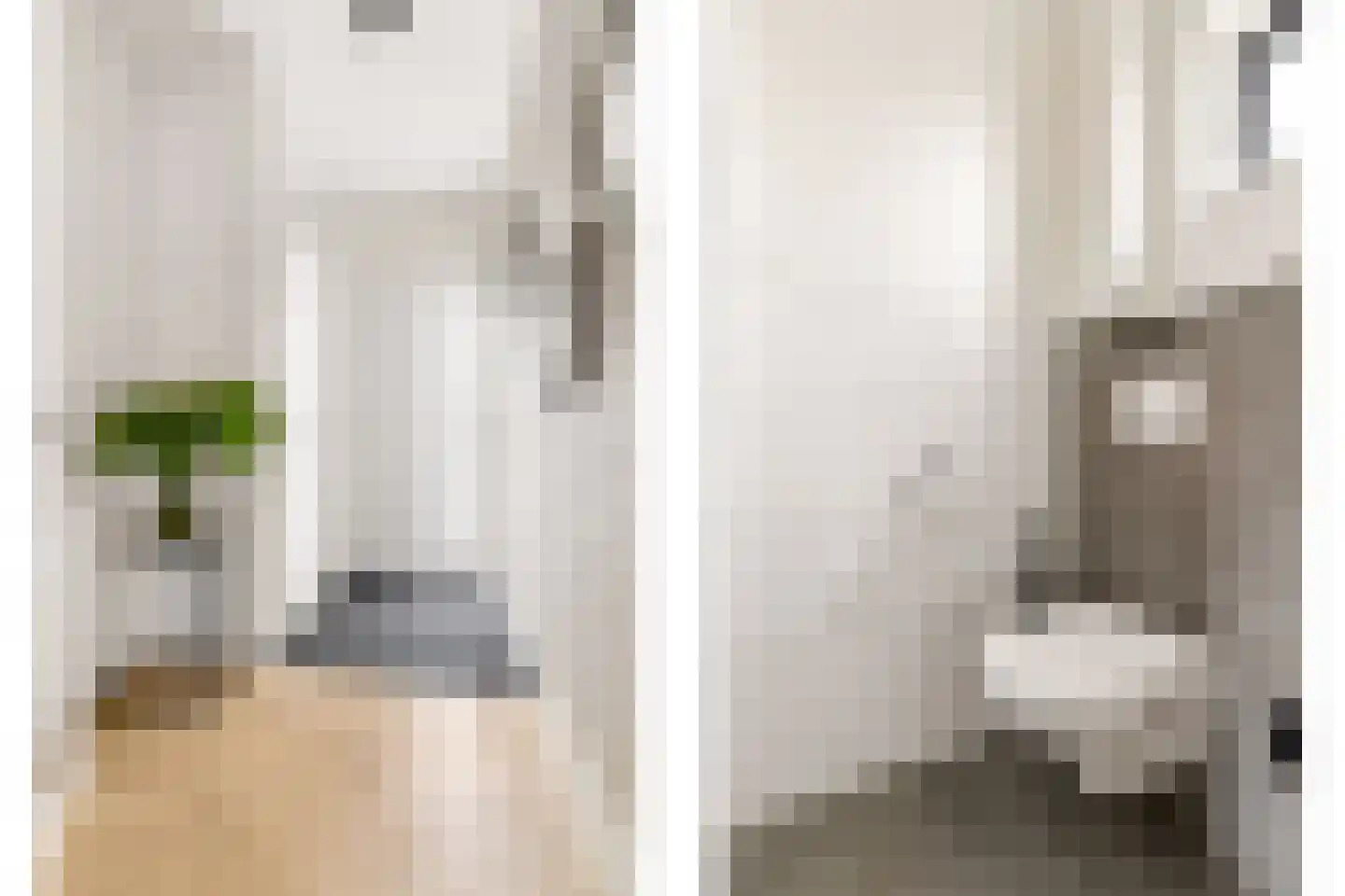 Biesterlaan 21 Schalkwijk thumbnail 4