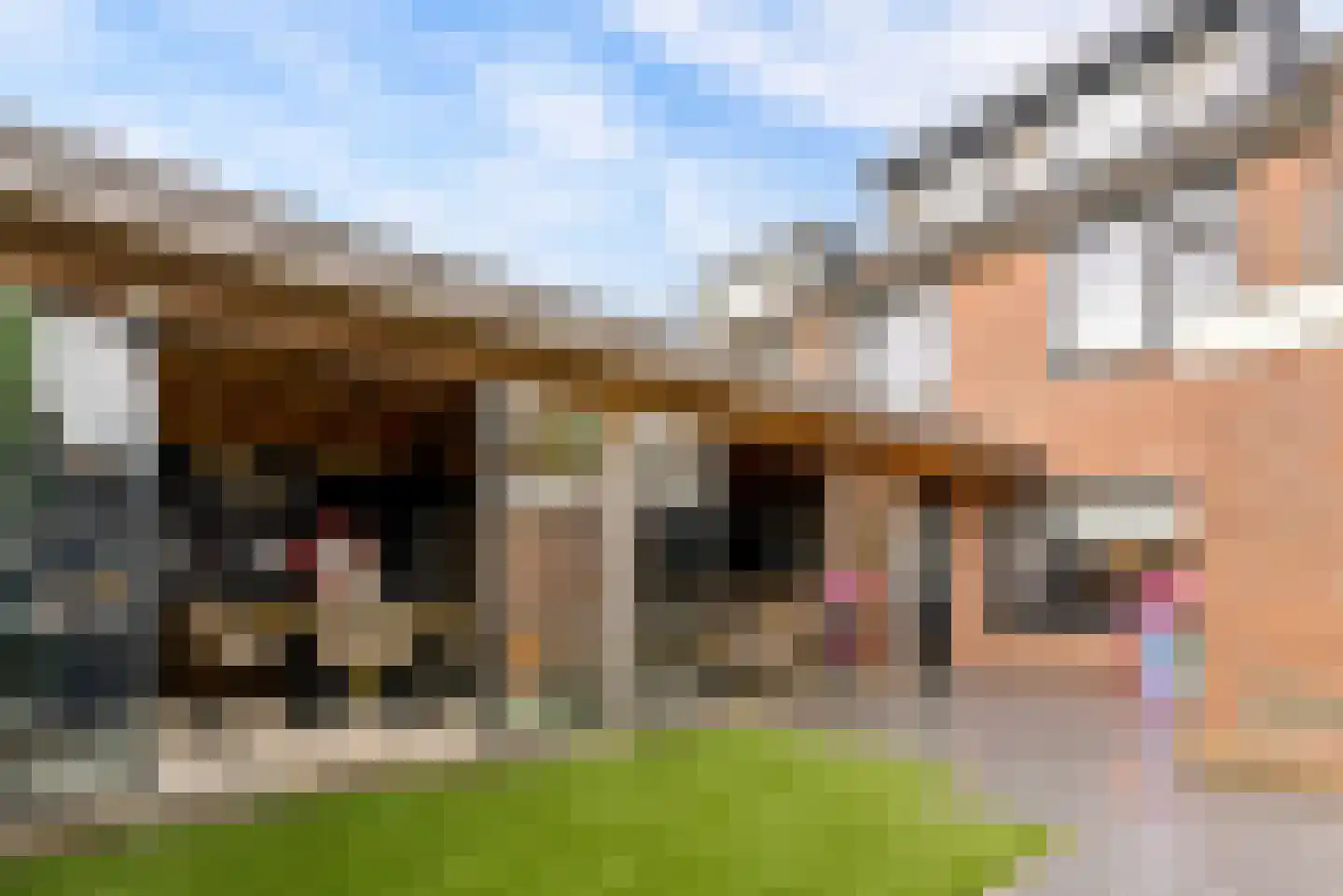 Biesterlaan 21 Schalkwijk thumbnail 43