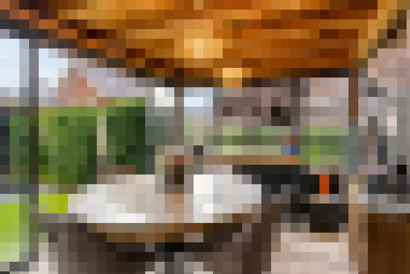 Biesterlaan 21 Schalkwijk thumbnail 46