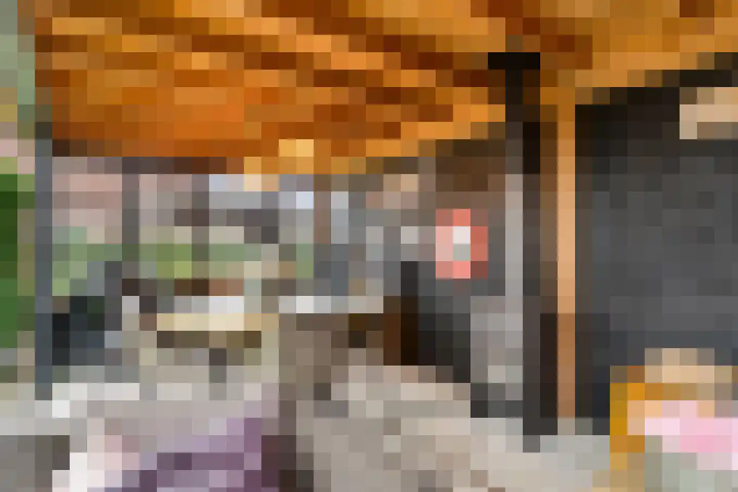 Biesterlaan 21 Schalkwijk thumbnail 48