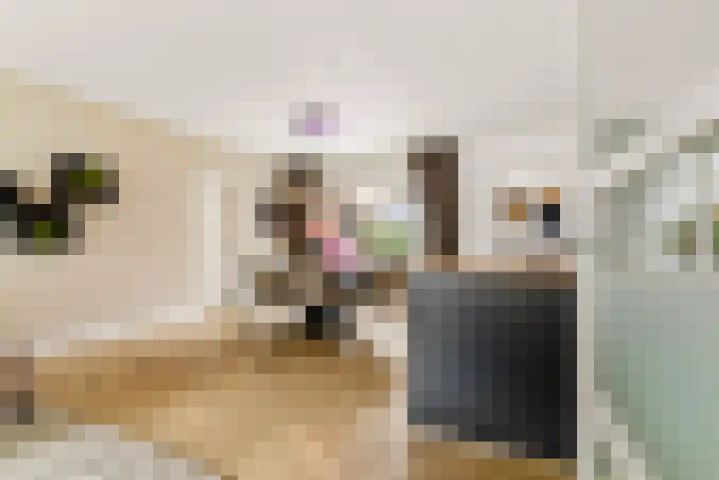 Biesterlaan 21 Schalkwijk thumbnail 5