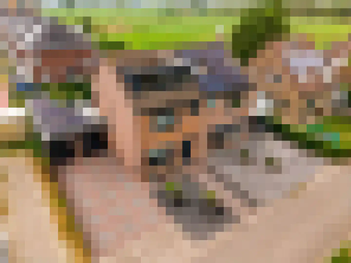 Biesterlaan 21 Schalkwijk thumbnail 53