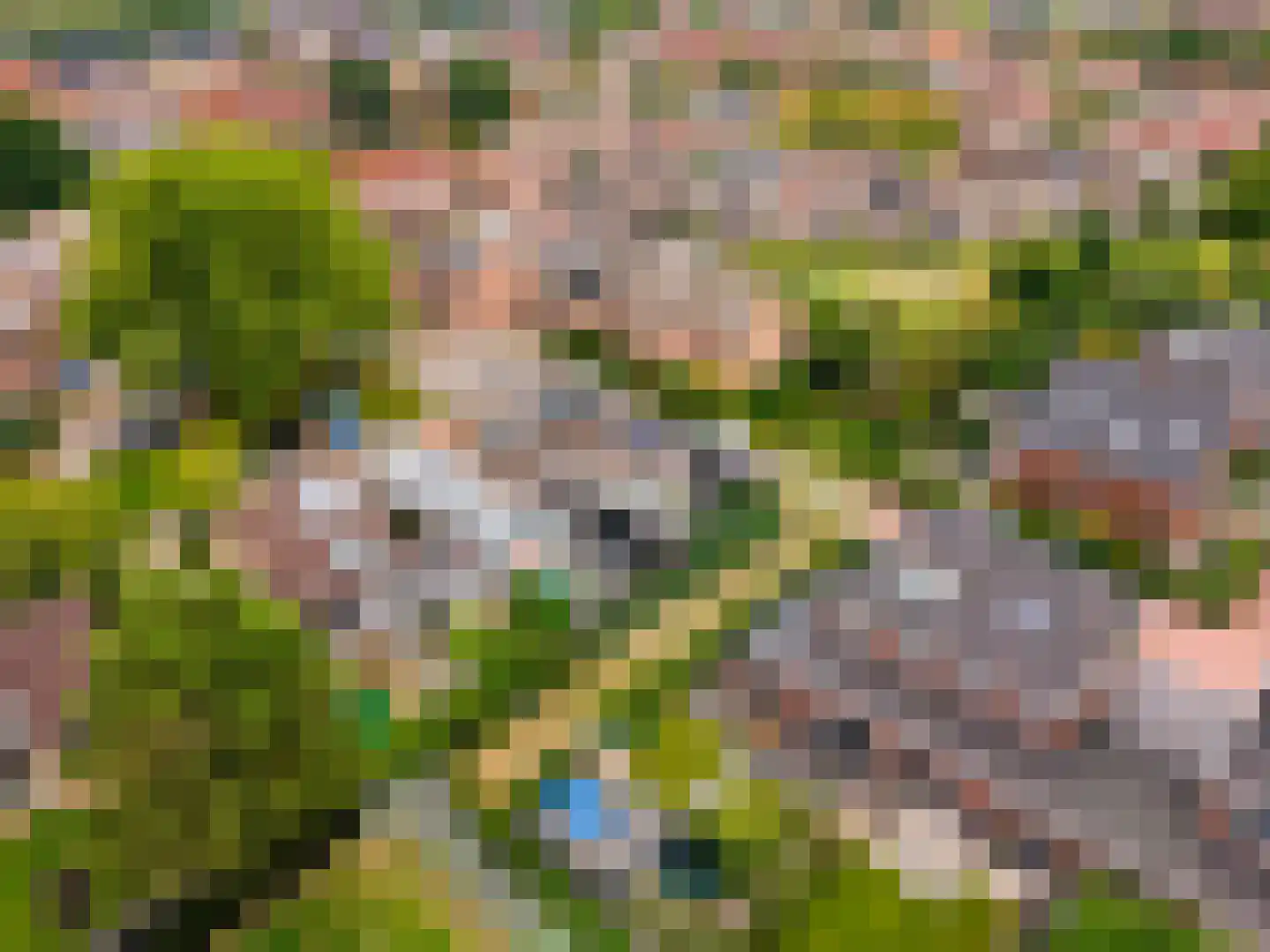 Biesterlaan 21 Schalkwijk thumbnail 54