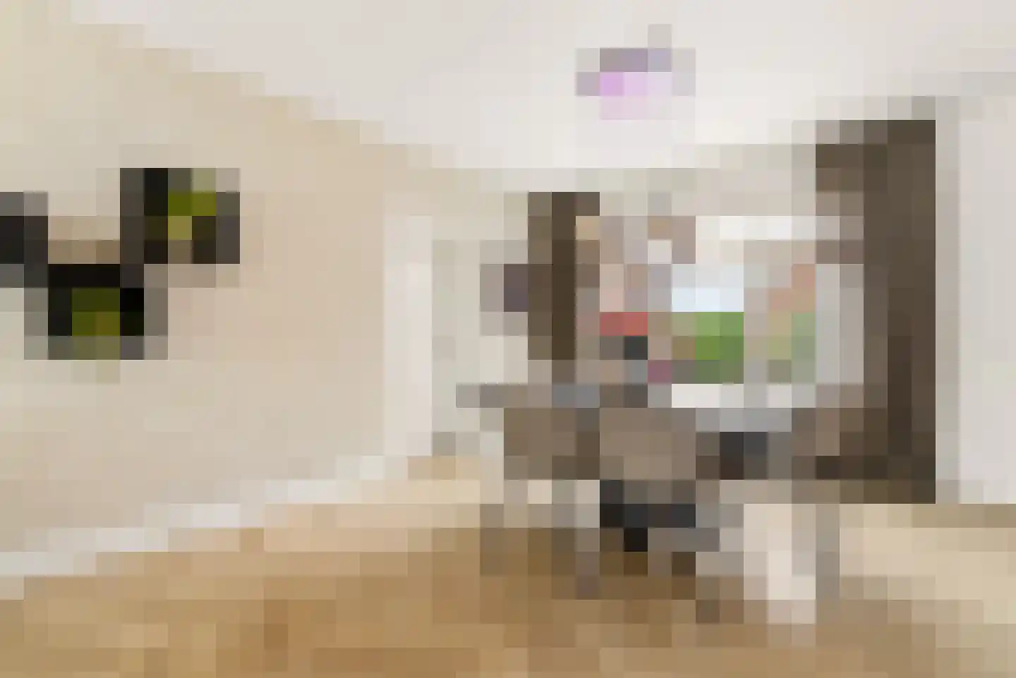Biesterlaan 21 Schalkwijk thumbnail 7