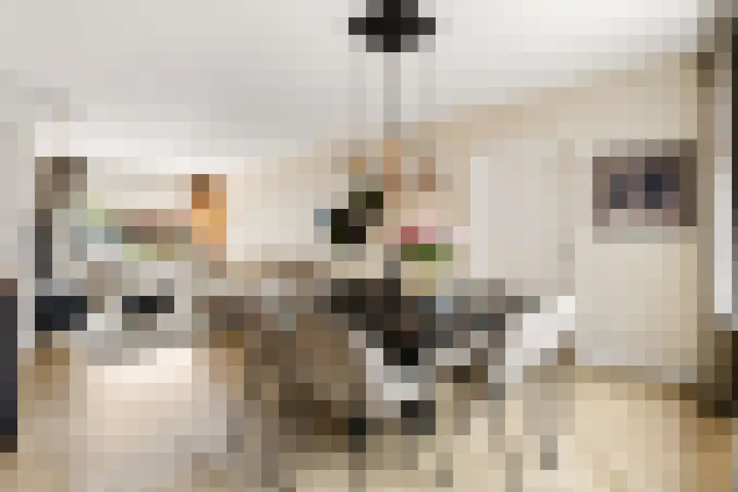 Biesterlaan 21 Schalkwijk thumbnail 8