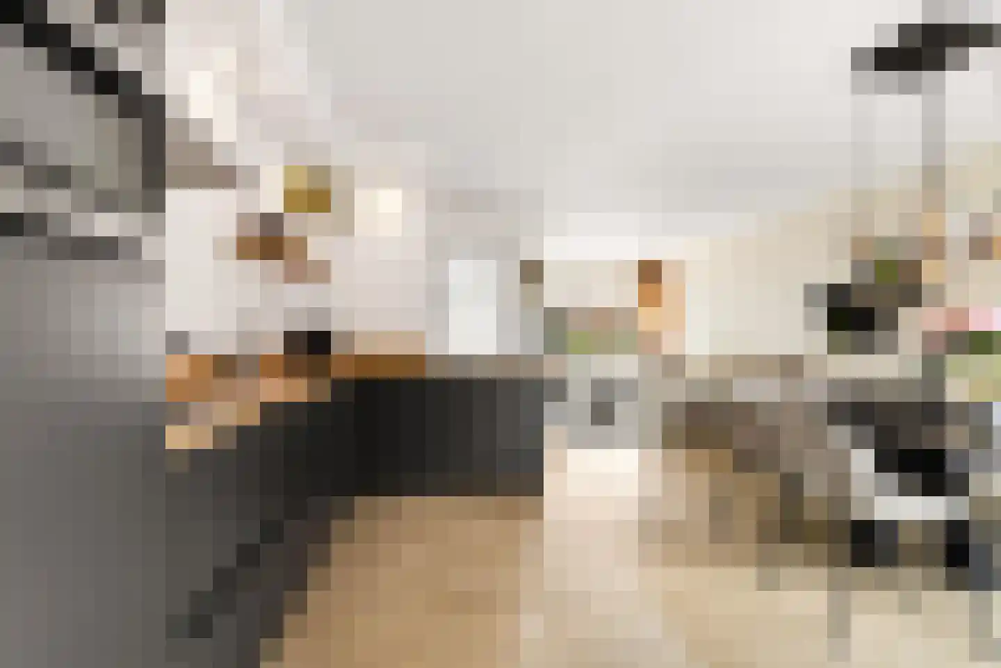 Biesterlaan 21 Schalkwijk thumbnail 9