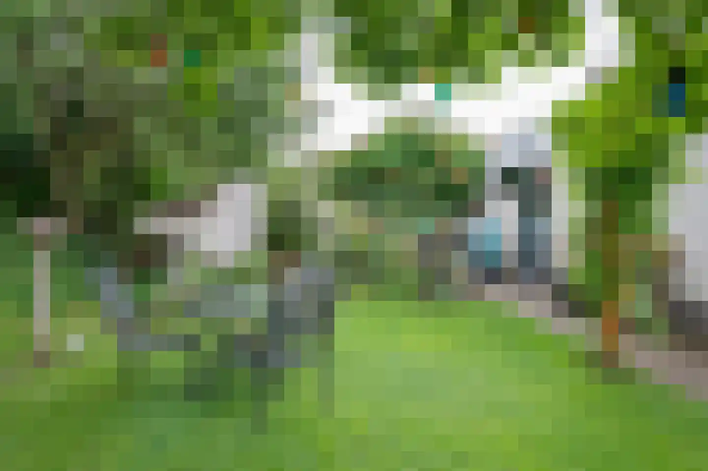 Biesterveld 19 Vorden thumbnail 61