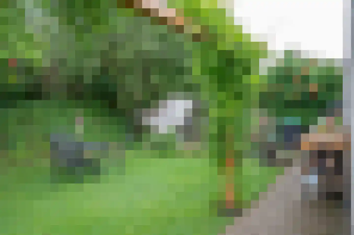 Biesterveld 19 Vorden thumbnail 62