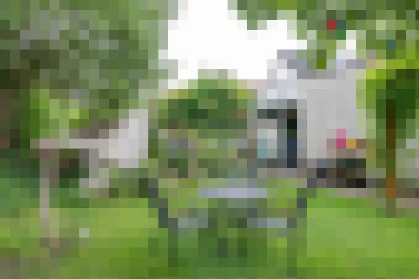 Biesterveld 19 Vorden thumbnail 66
