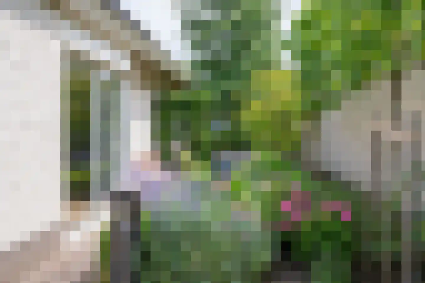 Biesterveld 19 Vorden thumbnail 67