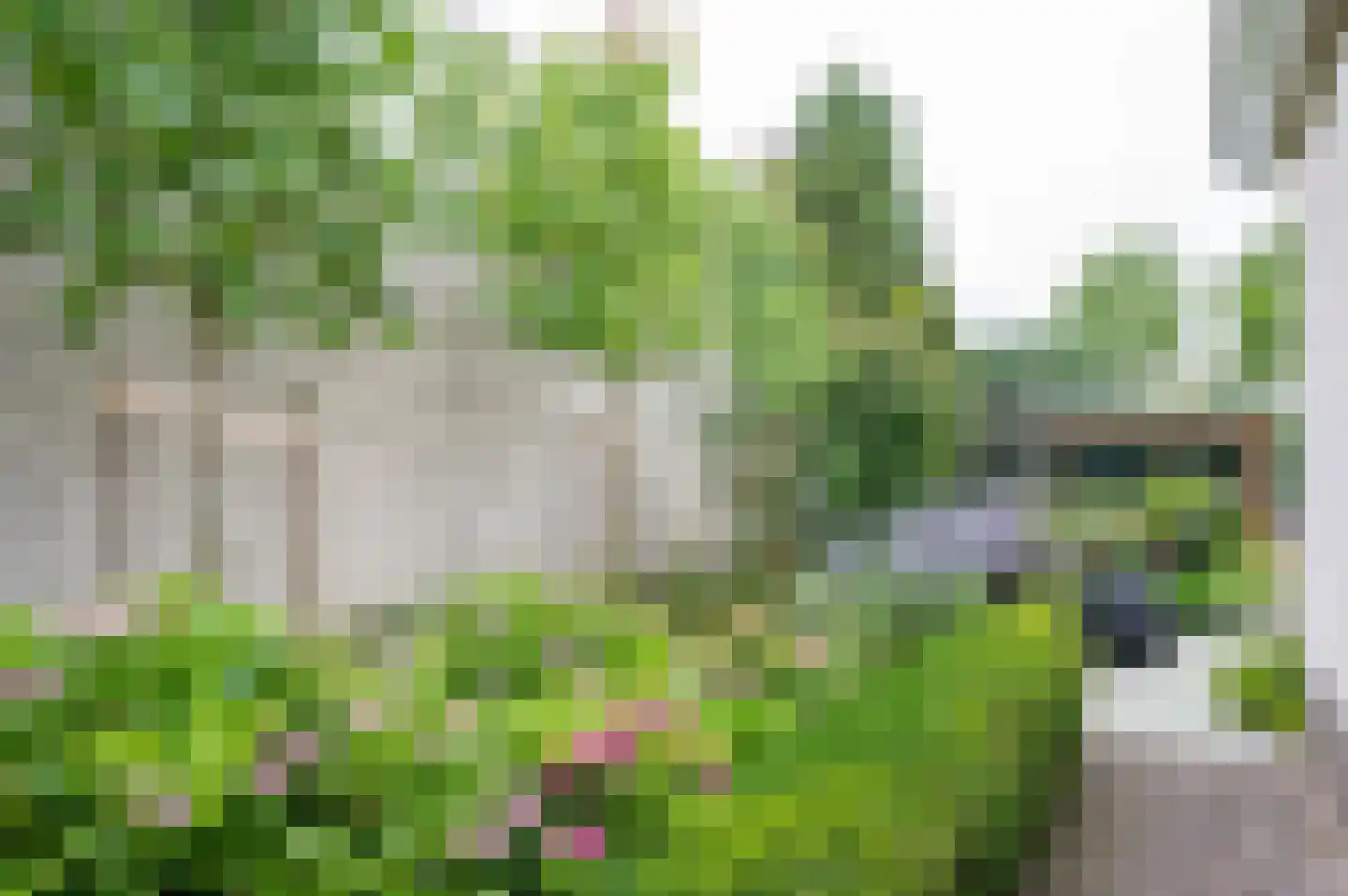 Biesterveld 19 Vorden thumbnail 68
