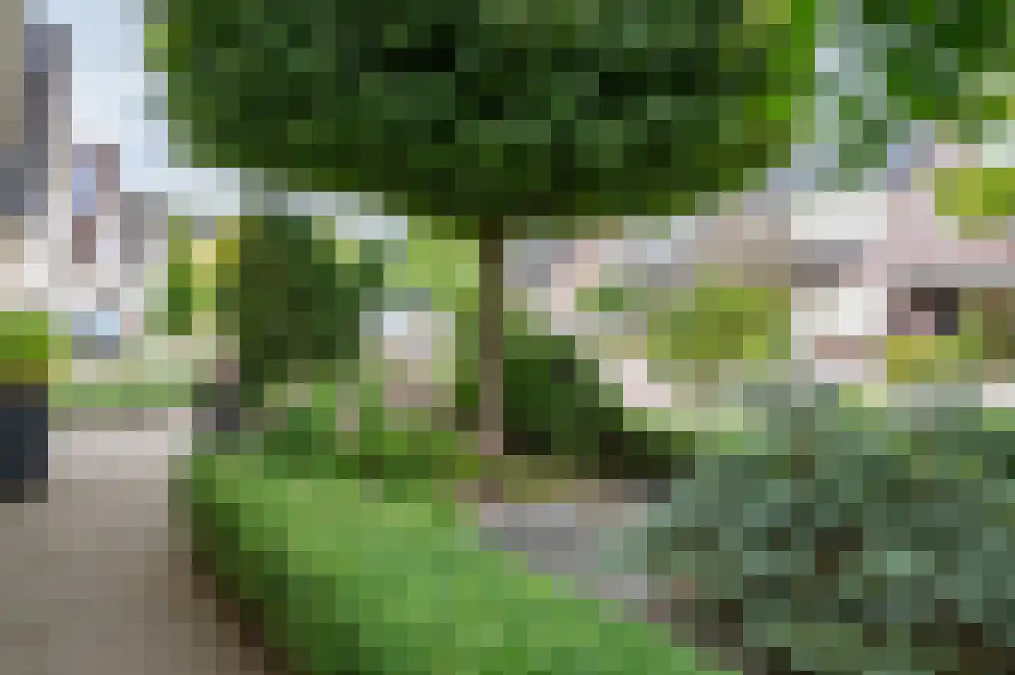 Biesterveld 19 Vorden thumbnail 69