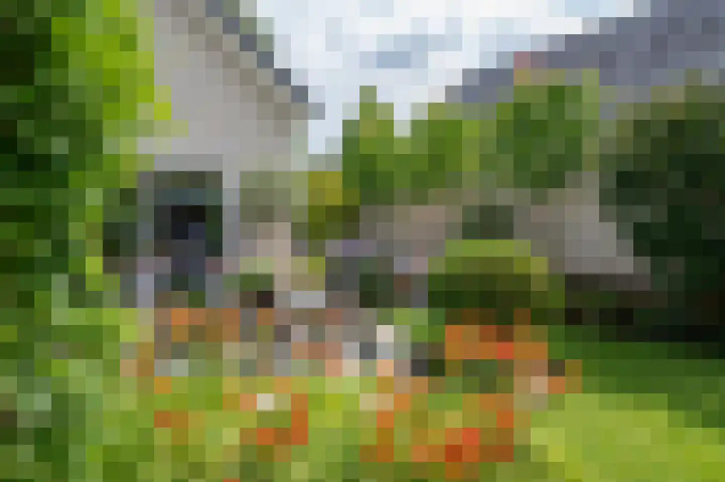 Biesterveld 19 Vorden thumbnail 7