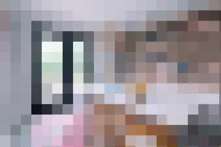 Biesterveldsweg 3 A Schalkhaar thumbnail 11
