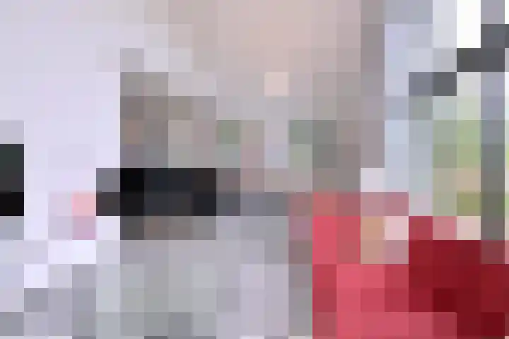 Biesterveldsweg 3 A Schalkhaar thumbnail 14
