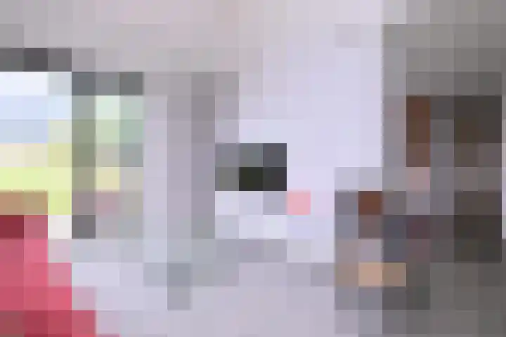 Biesterveldsweg 3 A Schalkhaar thumbnail 18