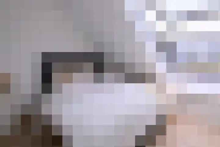 Biesterveldsweg 3 A Schalkhaar thumbnail 26