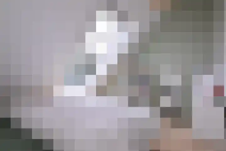 Biesterveldsweg 3 A Schalkhaar thumbnail 27