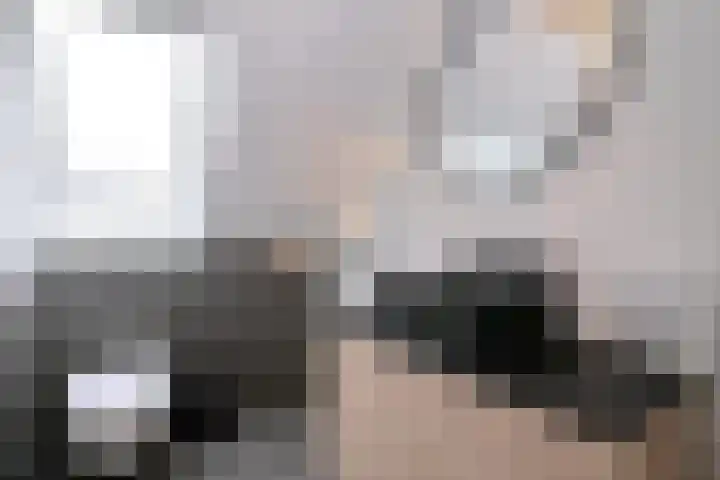 Biesterveldsweg 3 A Schalkhaar thumbnail 28