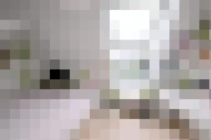 Biesterveldsweg 3 A Schalkhaar thumbnail 30