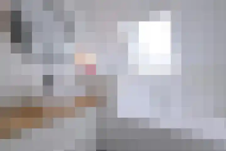 Biesterveldsweg 3 A Schalkhaar thumbnail 32