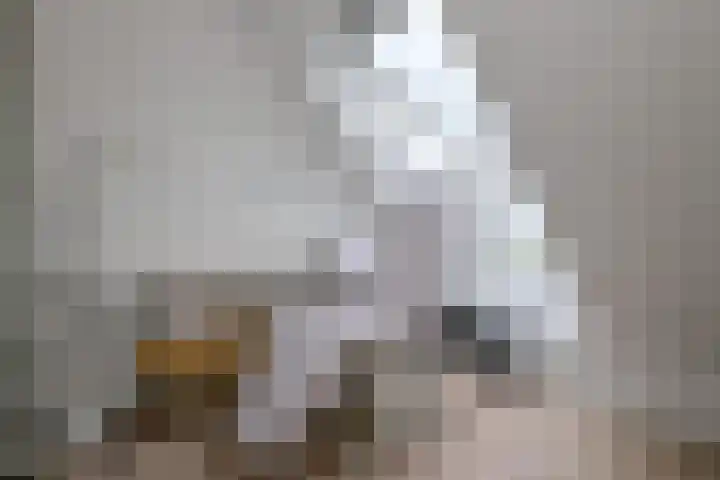 Biesterveldsweg 3 A Schalkhaar thumbnail 34