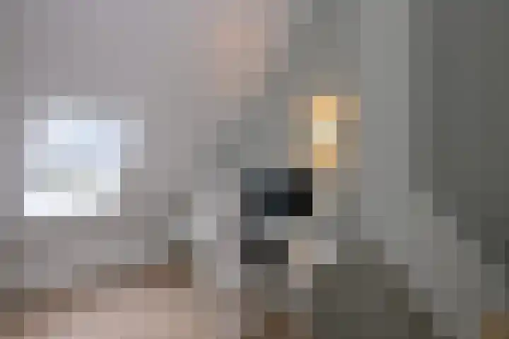 Biesterveldsweg 3 A Schalkhaar thumbnail 36
