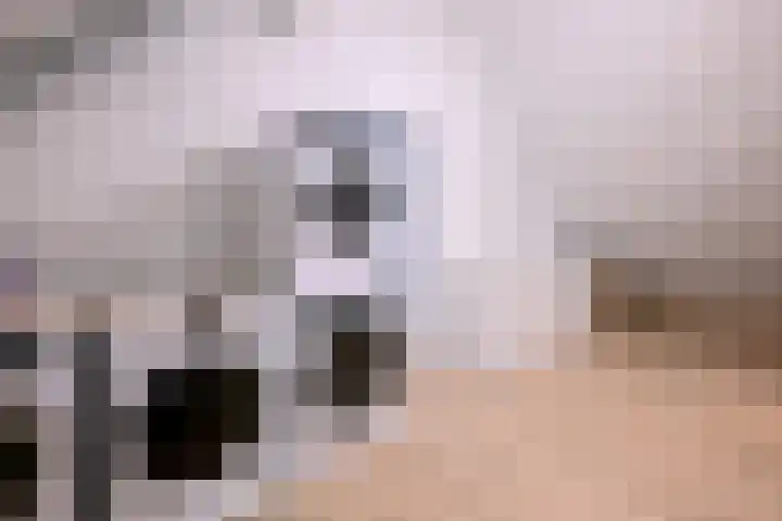 Biesterveldsweg 3 A Schalkhaar thumbnail 38