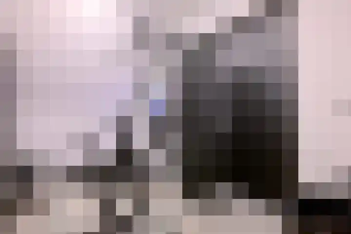 Biesterveldsweg 3 A Schalkhaar thumbnail 39